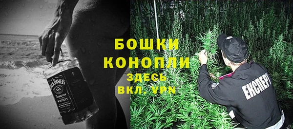 дживик Осташков
