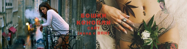 дживик Осташков