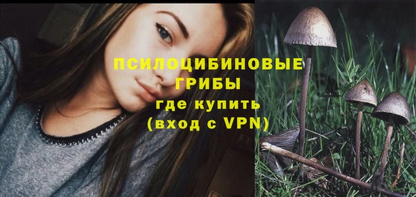 меф Бикин
