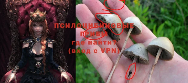 MDMA Осинники