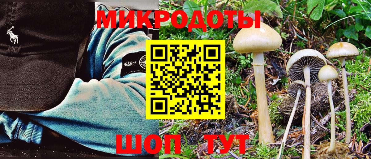 Галлюциногенные грибы Cubensis  купить закладку  Бахчисарай  Вход с VPN 