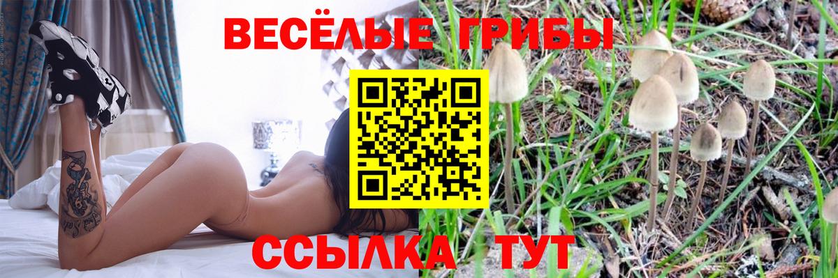 продажа наркотиков  Бахчисарай  Галлюциногенные грибы Psilocybe 
